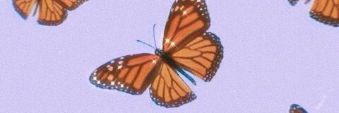 OnlyFans üst resmi melyy19