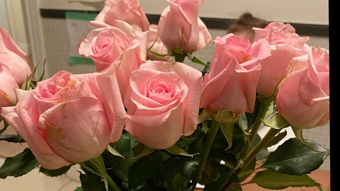 OnlyFans üst resmi meowthaliaa