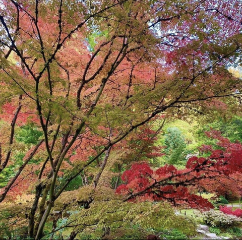 Снимка на заглавие на OnlyFans michafairy