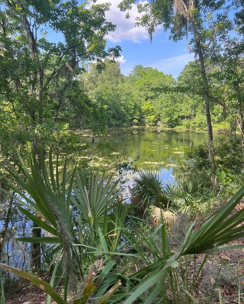 صورة رأس OnlyFans midgetbtch