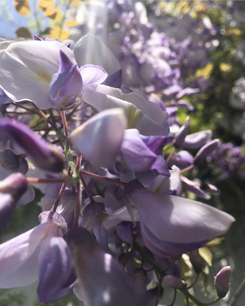 OnlyFans हेडर तस्वीर miss.gabrielle.g