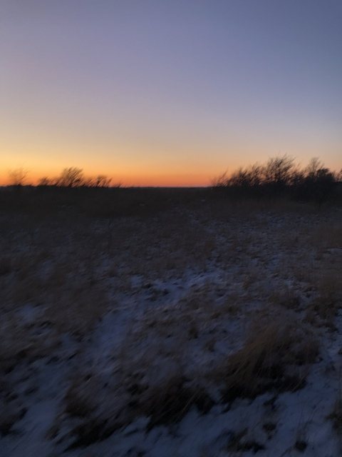 Снимка на заглавие на OnlyFans miss_vintagebetty