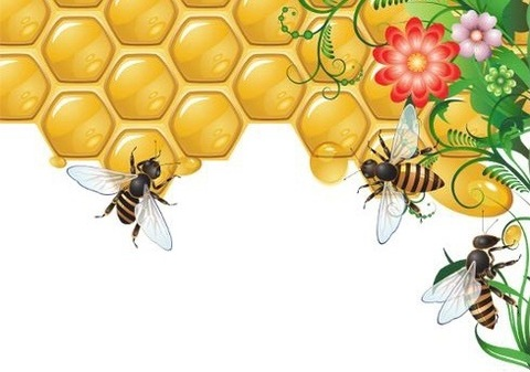 Image d'en-tête OnlyFans missbee733