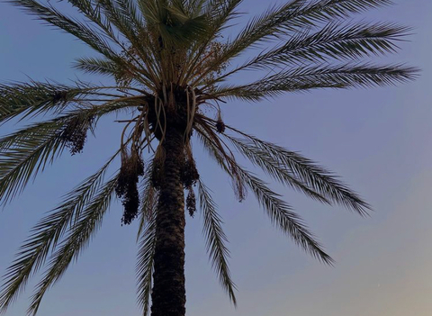 Imagen de encabezado de OnlyFans de misslemonhotcheetoz