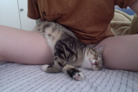 Obraz nagłówka OnlyFans mjgreencat