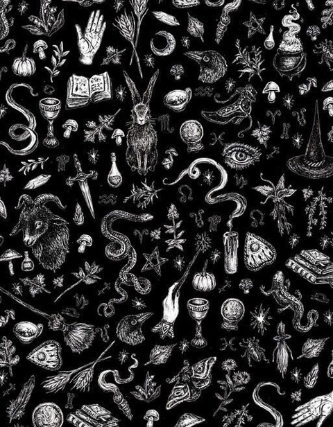 OnlyFans 헤더 사진 moana__lisa