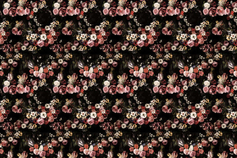 OnlyFans header picture moiosu