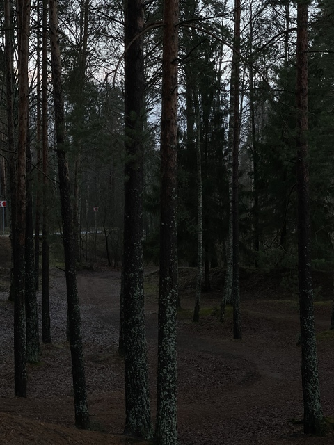 Image d'en-tête OnlyFans monika_mil_z