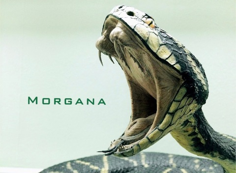 Gambar header OnlyFans morganafire21