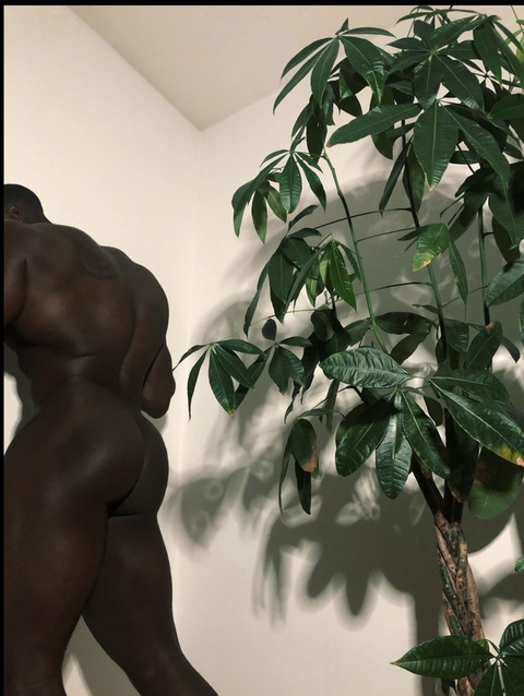 OnlyFans üst resmi mrknedy