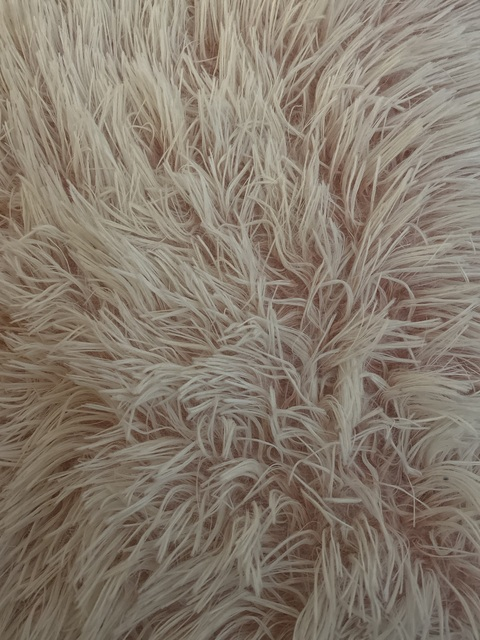 OnlyFans 헤더 사진 ms_annabella