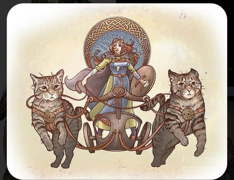 OnlyFans 헤더 사진 mskeller