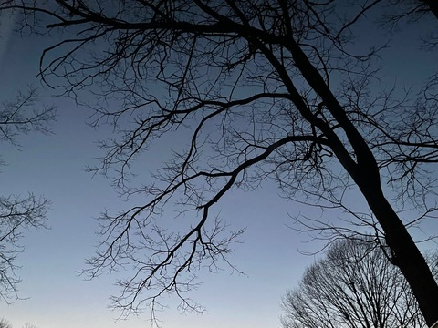 OnlyFans üst resmi myonlyadventurez