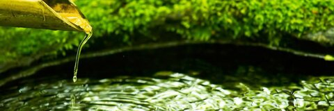 Gambar header OnlyFans nadeshikoedging