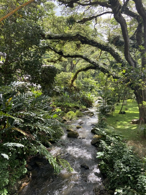 Gambar header OnlyFans namaste.me