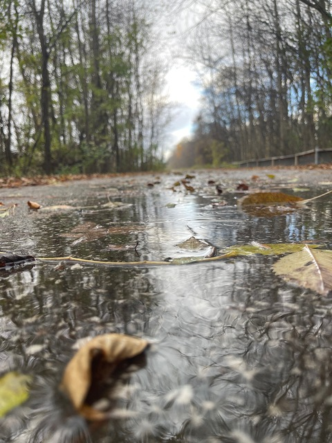 Снимка на заглавие на OnlyFans natali3rk