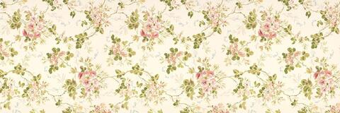 OnlyFans Titelbild naughtykathie