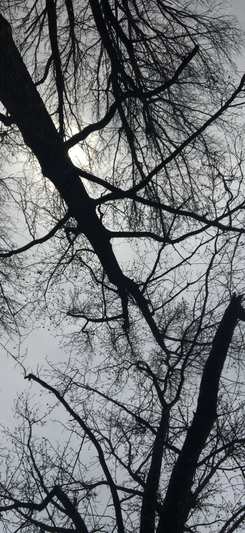 Imagem de cabeçalho do OnlyFans ndblair