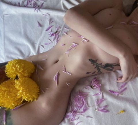 Gambar header OnlyFans nectarinka