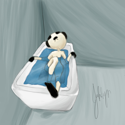 OnlyFansヘッダー写真 niconightly