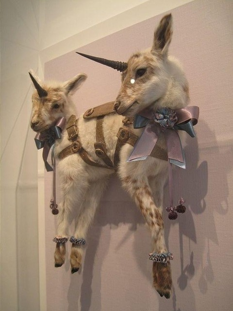 OnlyFans हेडर तस्वीर nihlllxm