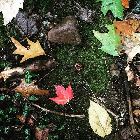 OnlyFans üst resmi nixdoestricks