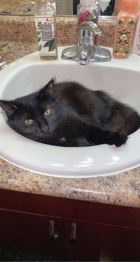 Изображение шапки OnlyFans noteasybeinwheezy