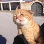 Foto profil OnlyFans notlola