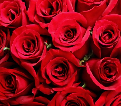 Imagen de encabezado de OnlyFans de nouflou