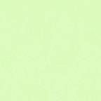 OnlyFans profil resmi noworriesmylove