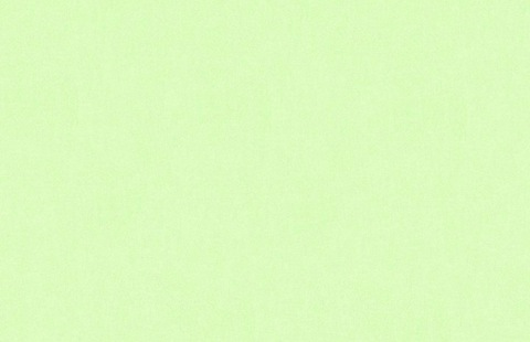 OnlyFans üst resmi noworriesmylove