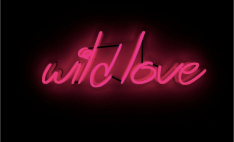 Imagem de cabeçalho do OnlyFans officialbriiiiii