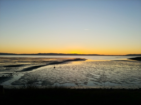 صورة رأس OnlyFans ohfayefaye