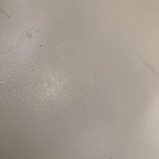 AlleenFans profielfoto ohrangutang