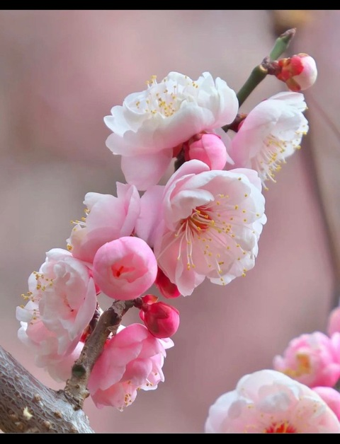 Immagine di copertina OnlyFans oky.lucy