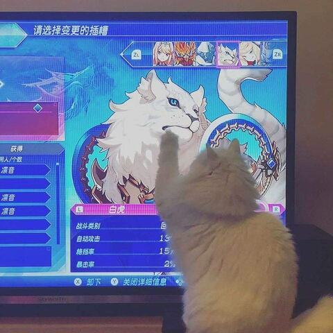 Imagem de cabeçalho do OnlyFans omorimeow