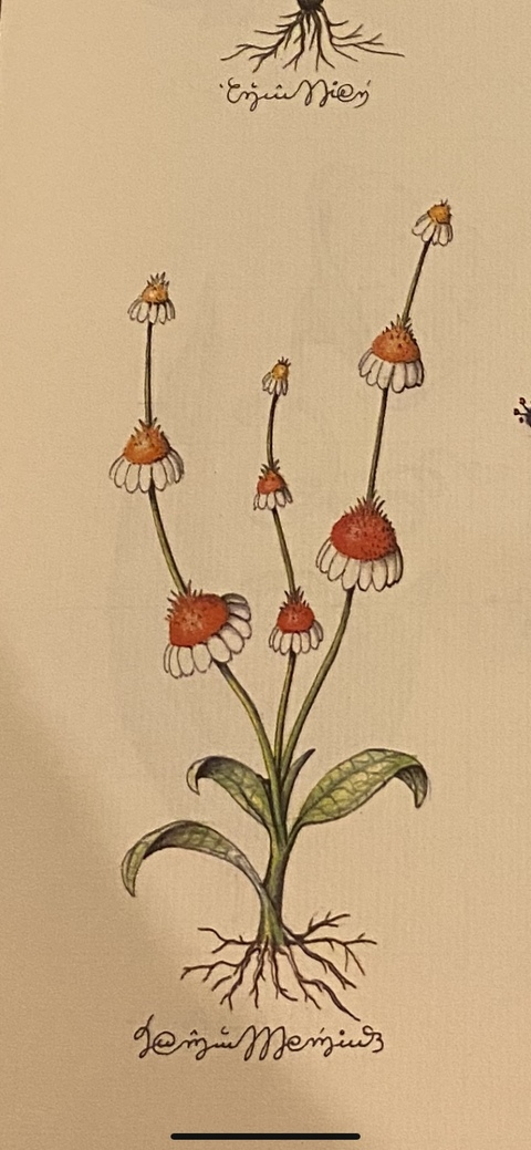 Снимка на заглавие на OnlyFans onlybekks