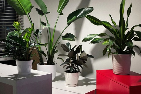 Снимка на заглавие на OnlyFans otterpatch