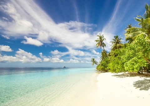 OnlyFans Titelbild pabloescobone