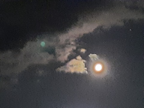 OnlyFansヘッダー写真 paegandeathsong