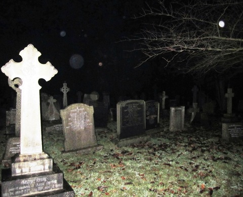 OnlyFans हेडर तस्वीर parasixticbabi