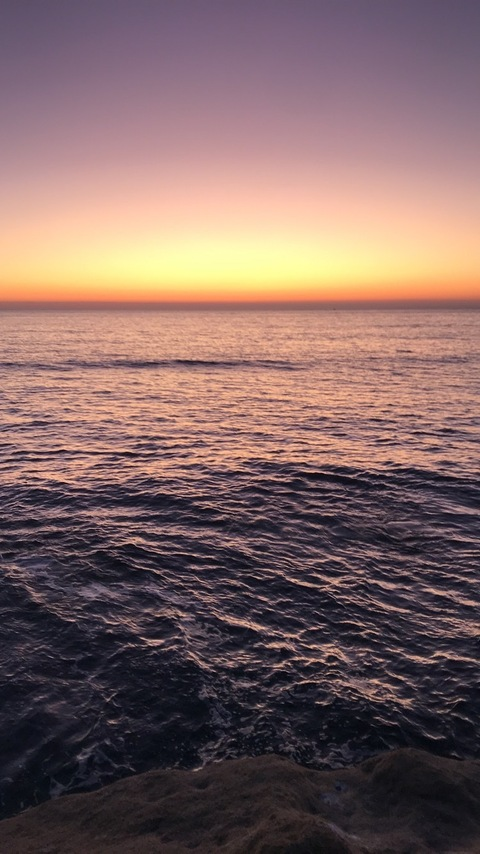 OnlyFans Titelbild patdogg12