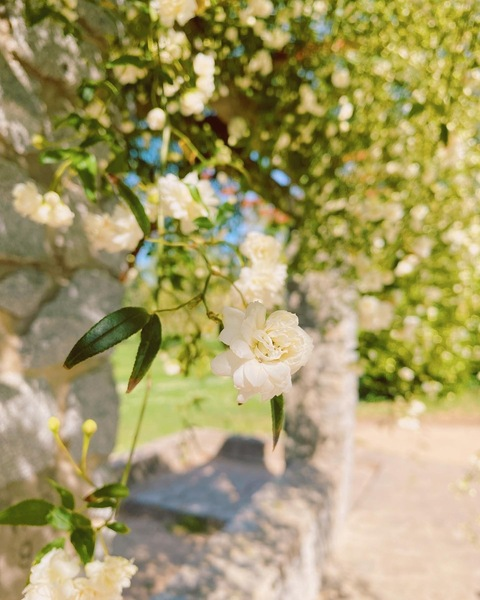 Imagem de cabeçalho do OnlyFans pearshapedblonde