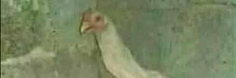 OnlyFans हेडर तस्वीर pereir0n