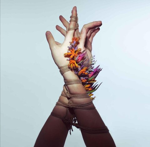 OnlyFans üst resmi perrywithap