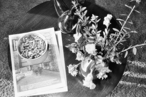 Снимка на заглавие на OnlyFans phelineza