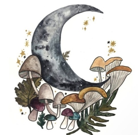 Immagine di copertina OnlyFans pineapplebratt79