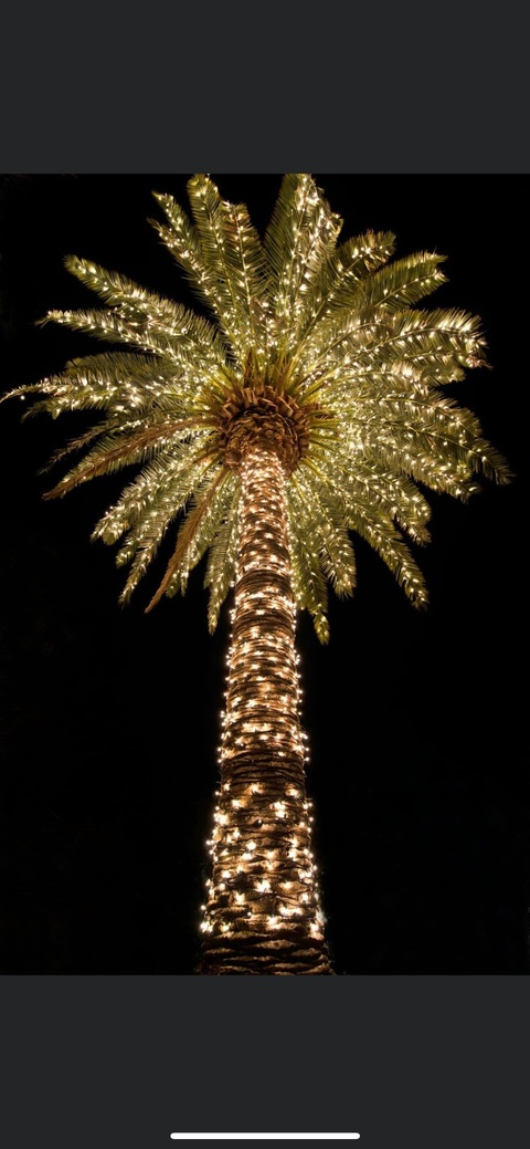 Imagen de encabezado de OnlyFans de princeassvip