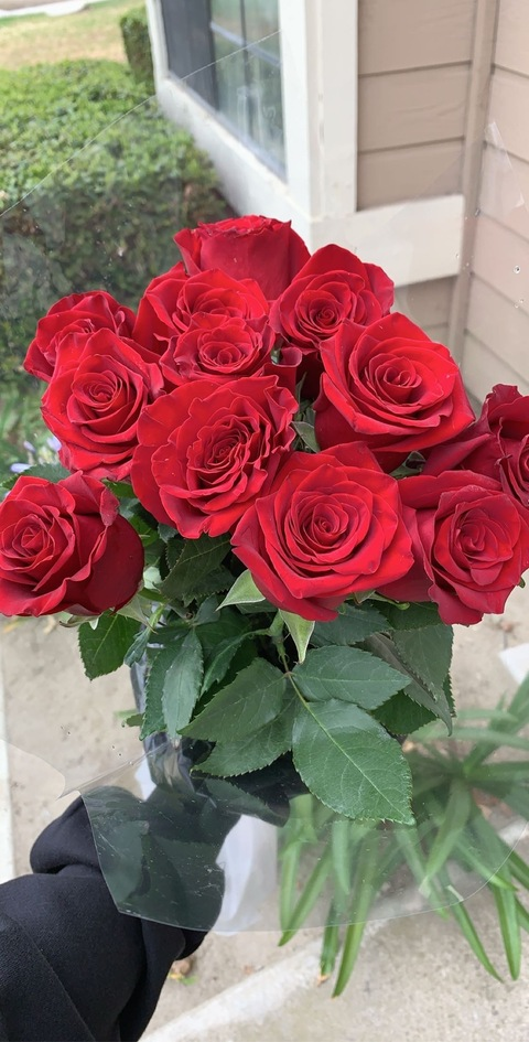 Gambar header OnlyFans prxttylxver