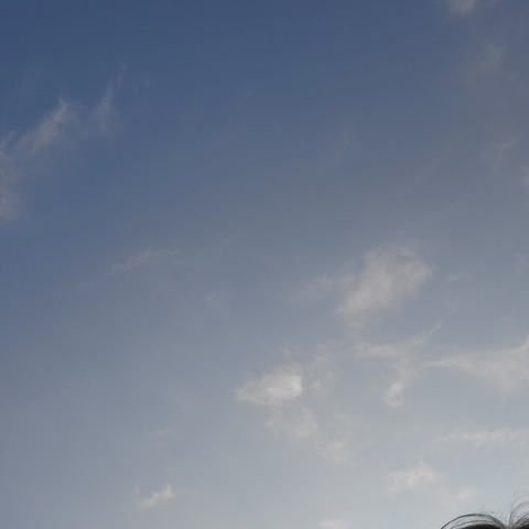 Gambar header OnlyFans purpleamelia